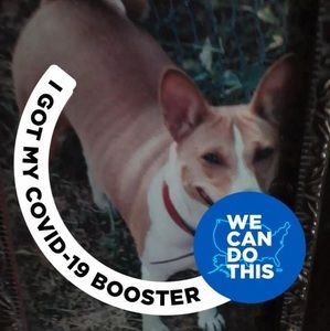 Meet your Posher, Maxine